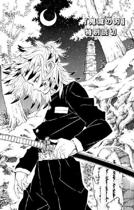 Demon Slayer: Kimetsu no Yaiba Special One-Shot